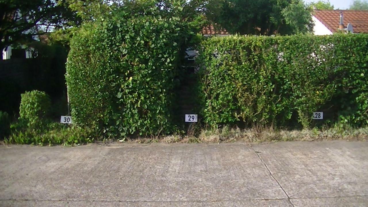 Maison De Dunes Bredene Zewnętrze zdjęcie